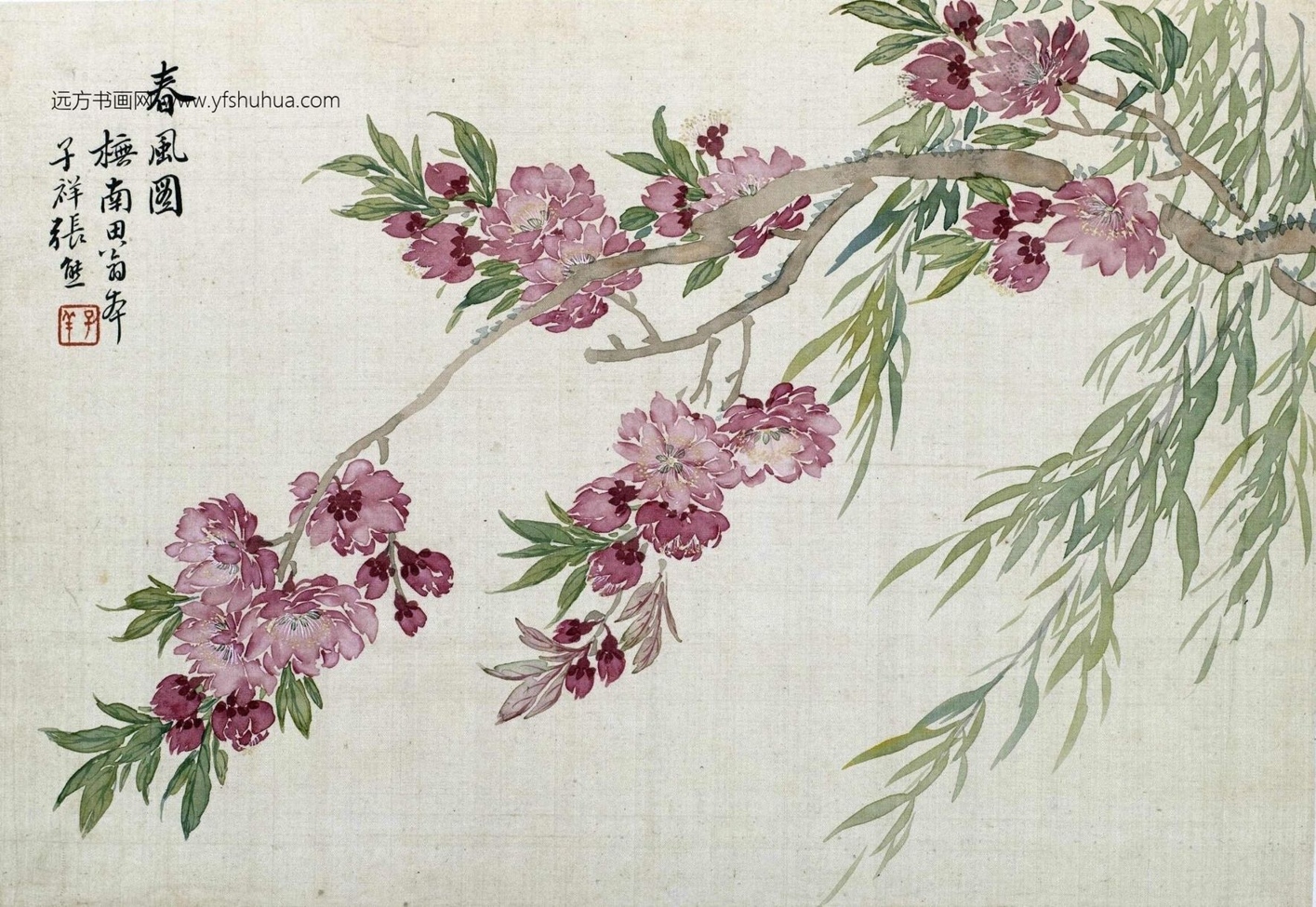 清_张熊_花卉册-画册_6 清_张熊_花卉册-画册_6