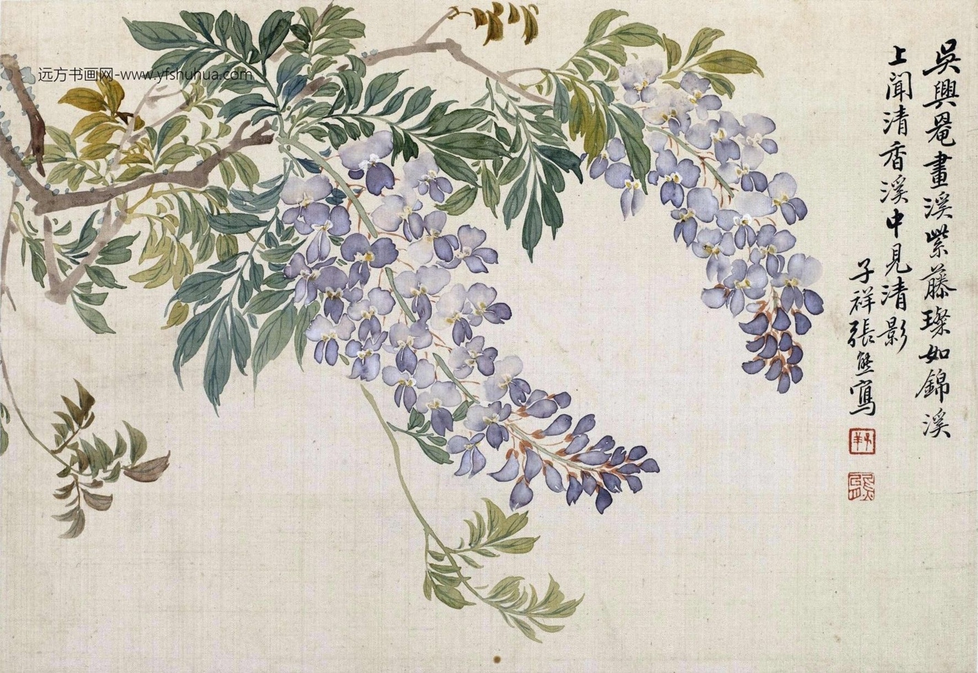 清_张熊_花卉册-画册_8 清_张熊_花卉册-画册_8