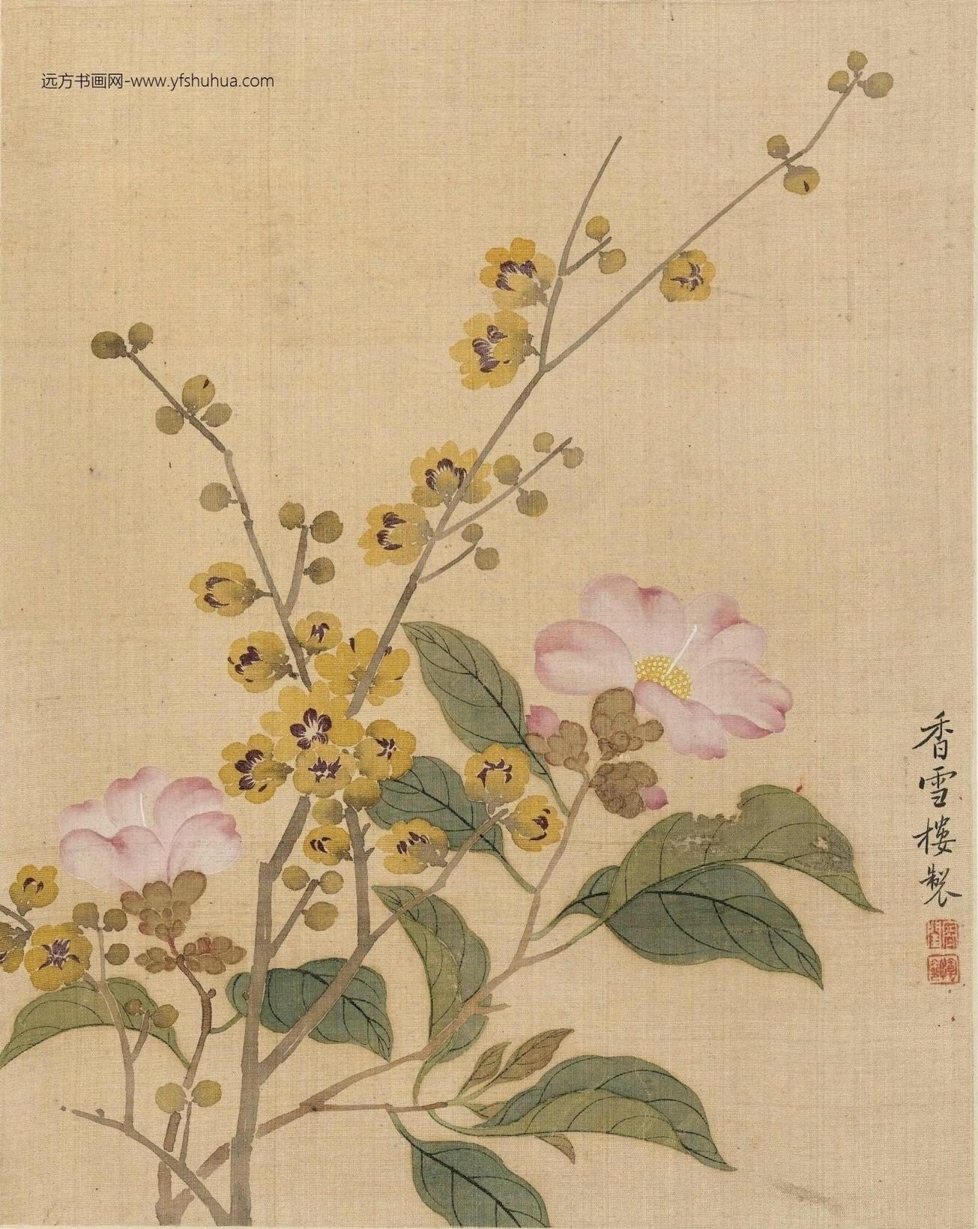 清_恽冰_花卉册_7 清_恽冰_花卉册_7