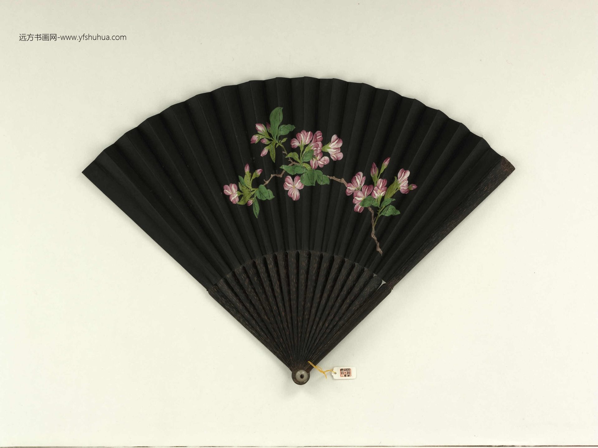 清倪承宽书褚遂良帖清人画花卉.成扇- (1)