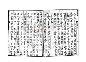 00976-陳氏小兒痘疹方論_(宋)陳文中撰_明嘉靖庚戌(二十九年_1550)吳郡薛氏刊本1 00976-陳氏小兒痘疹方論_(宋)陳文中撰_明嘉靖庚戌(二十九年_1550)吳郡薛氏刊本1