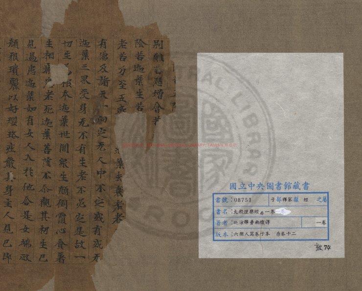 01538-大般涅槃經_(晉)釋曇無讖譯_唐人寫卷子本0