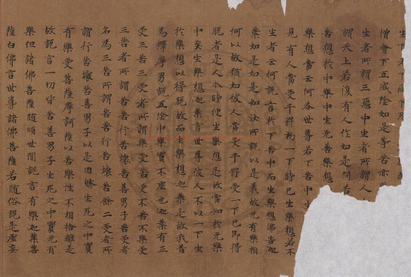 01546-大般涅槃經_(晉)釋曇無讖譯_隋人寫卷子本0