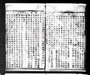 01888-呆齋存稿_(明)劉定之撰_明弘正間(1488-1521)新安劉稼盧州刊本1 01888-呆齋存稿_(明)劉定之撰_明弘正間(1488-1521)新安劉稼盧州刊本1