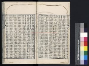04118-漢書西域傳補註_(清)徐松撰_清道光九年(1829)陽湖張琦刊本1 04118-漢書西域傳補註_(清)徐松撰_清道光九年(1829)陽湖張琦刊本1