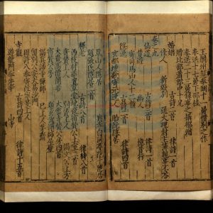 05087-集千家註分類杜工部詩二十五卷_唐杜甫撰_（宋）徐居仁編次_黃鶴補註_元廣勤書堂刻本。''1