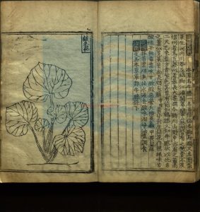 06022-救荒本草二卷_明周定王撰_明朱橚撰_明嘉靖間刻本1 06022-救荒本草二卷_明周定王撰_明朱橚撰_明嘉靖間刻本1