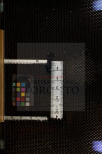 06419-老子元翼_[二卷]_卷末_焦竑_蘇伍_蘇緝_郭乾泗_三多齋_1541-1620_清乾隆五年三多齋課本0