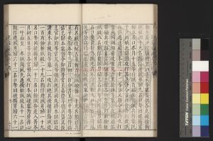 08624-平蠻錄_(明)王軾撰_明萬曆丁巳（45年_1617）江西巡按陳于庭刊本1