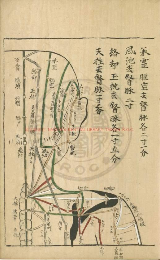 10100-十四經發揮表圖_村上親方撰_手稿本1 10100-十四經發揮表圖_村上親方撰_手稿本1