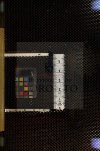 15267-余忠宣公文集_六卷_余闕_郭奎_余秉剛_余祀_洪濤山房_1303-1358_-1364_0 15267-余忠宣公文集_六卷_余闕_郭奎_余秉剛_余祀_洪濤山房_1303-1358_-1364_0
