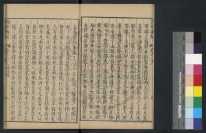 16279-正統臨戎錄_明萬曆丁巳（45年_1617）江西巡按陳于庭刊本1