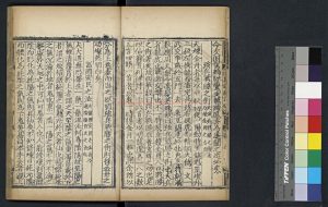 16354-直指詳說三乘祕要_(宋)翁葆光撰_明嘉靖間周藩刊金丹正理大全本1 16354-直指詳說三乘祕要_(宋)翁葆光撰_明嘉靖間周藩刊金丹正理大全本1