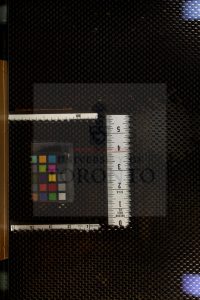 16374-徵君孫先生年譜_[二卷]_卷末_孫奇逢_趙御衆_方苞_褱遠堂_1585-1675_17_1668-1749_清乾隆年間裘遠堂刻本0
