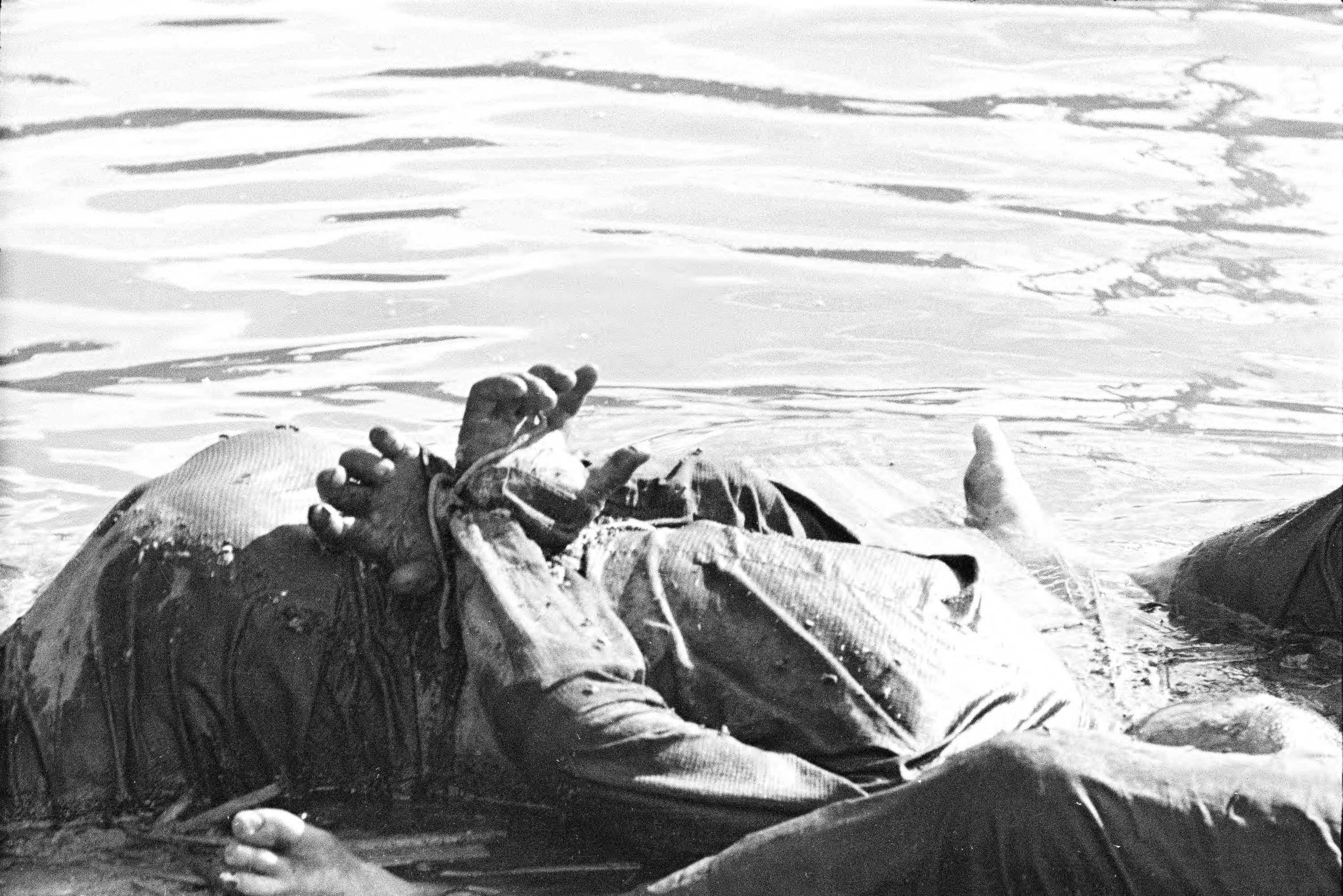 【JPG清晰版】._上海，死者双手被绑在身后