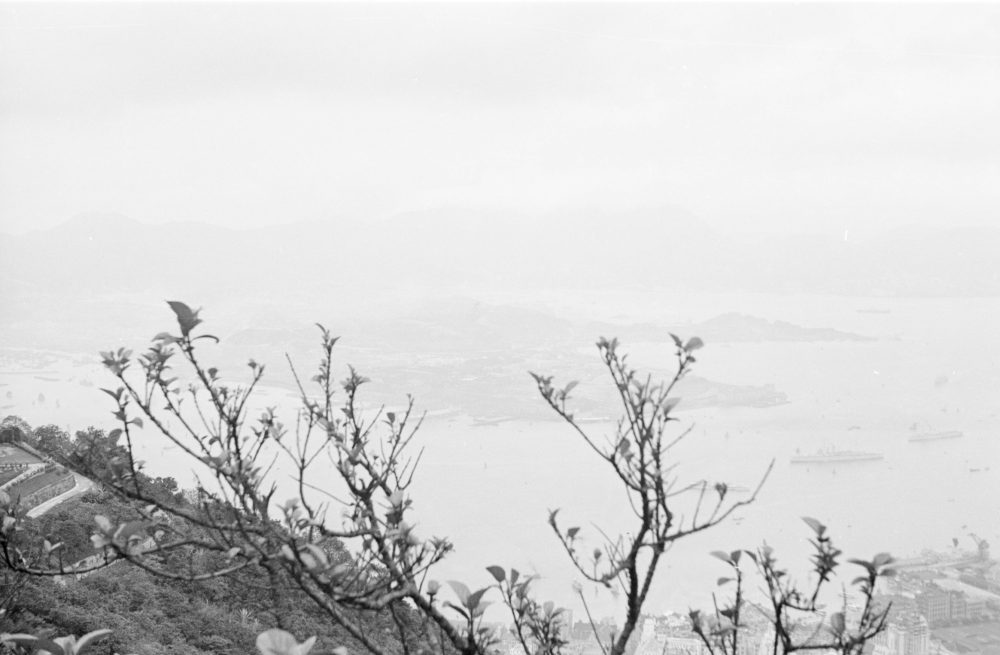 【JPG清晰版】._香港，从山上俯瞰海湾对面的城市