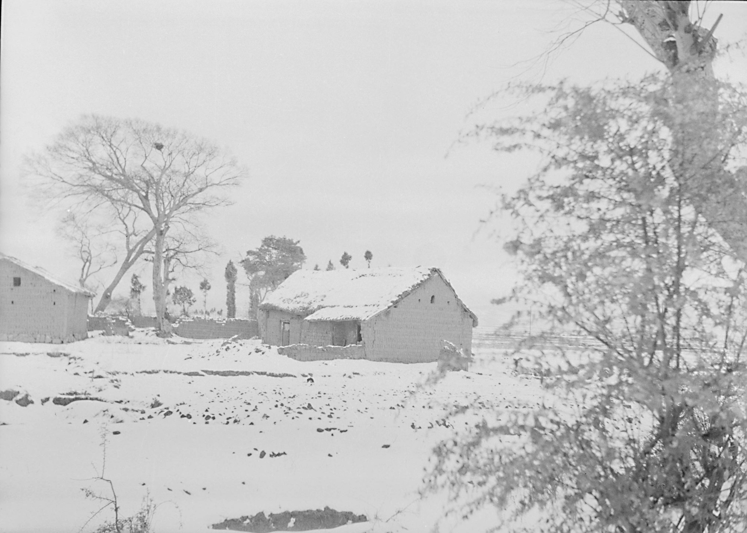 【JPG清晰版】._云南，罕见降雪后的农家景色