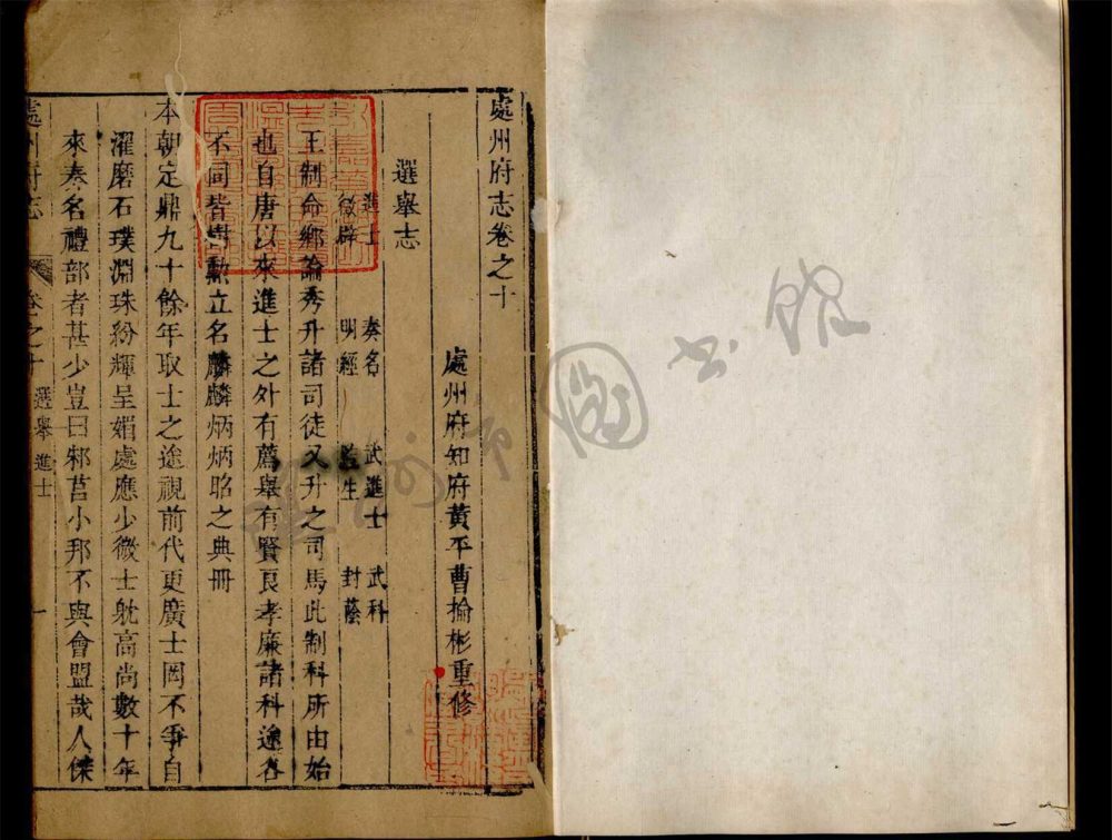 _[雍正]處州府志二十卷（第八冊卷十）__