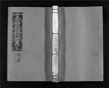 _[浙江樂清]重修樂清仇氏宗譜十卷附房譜一卷（第九冊卷八）__