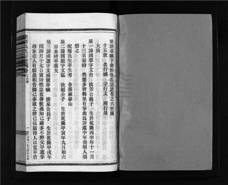 _[浙江樂清]重修樂清仇氏宗譜十卷附房譜一卷（第七冊卷六）__