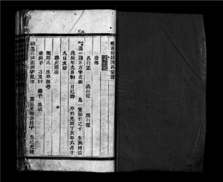 _[浙江樂清]新坊陳氏宗譜二十卷（第二十冊卷二十）__
