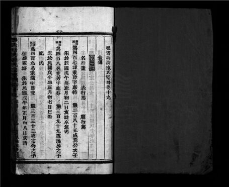 _[浙江樂清]新坊陳氏宗譜二十卷（第十九冊卷十九）__