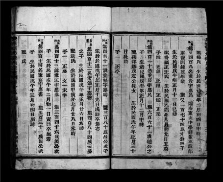 _[浙江樂清]新坊陳氏宗譜二十卷（第十九冊卷十九）__