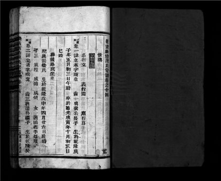_[浙江樂清]新坊陳氏宗譜二十卷（第十四冊卷十四）__