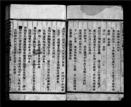 _[浙江樂清]新坊陳氏宗譜二十卷（第十三冊卷十三）__