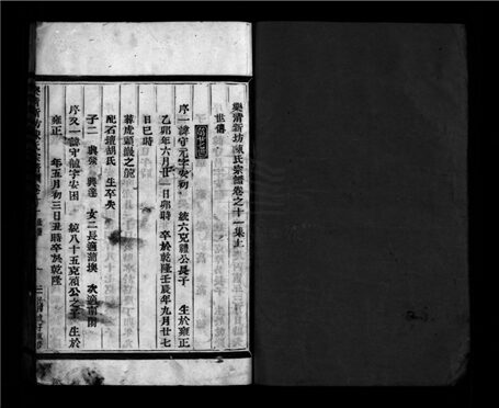 _[浙江樂清]新坊陳氏宗譜二十卷（第十冊卷十一上）__