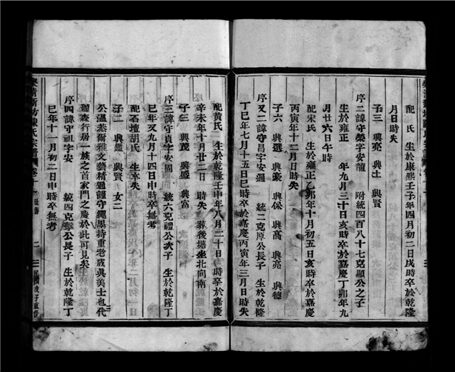_[浙江樂清]新坊陳氏宗譜二十卷（第十冊卷十一上）__