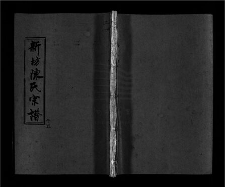 _[浙江樂清]重修新坊陳氏宗譜十八卷（第二十五冊卷十六）__