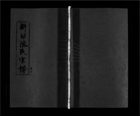 _[浙江樂清]重修新坊陳氏宗譜十八卷（第十一冊卷七）__
