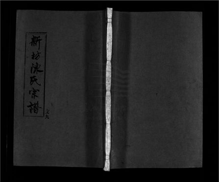 _[浙江樂清]重修新坊陳氏宗譜十八卷（第九冊卷六）__