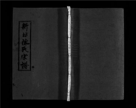 _[浙江樂清]重修新坊陳氏宗譜十八卷（第二冊卷二）__