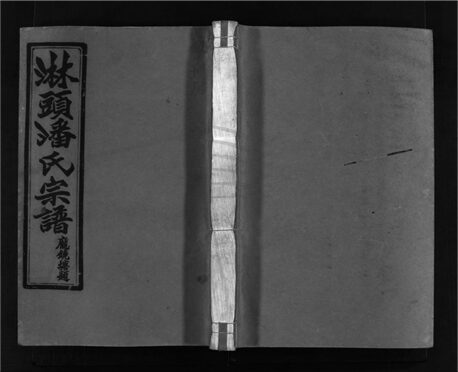 _[浙江溫嶺]重修淋頭潘氏宗譜二十六卷（第十二冊卷十）__