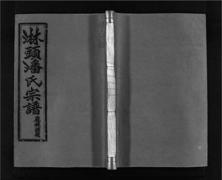 _[浙江溫嶺]重修淋頭潘氏宗譜二十六卷（第七冊卷四、卷五）__