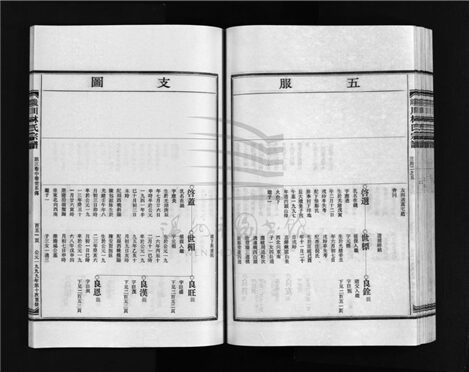 _[浙江樂清]重修饞川林氏宗譜七卷首一卷（第五冊第三卷中卷下）__