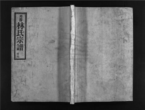 _[浙江樂清]重修芙蓉林氏宗譜十一卷（第四冊卷四）__