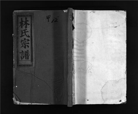 _[浙江樂清]重修芙蓉林氏宗譜十三卷（第六冊卷八）__