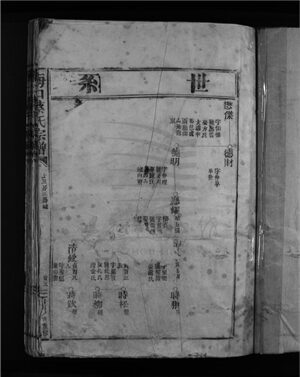 _[浙江樂清]重修海口蔡氏宗譜（第二冊）__