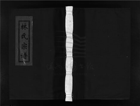 _[浙江樂清]重修巨渡林氏宗譜__