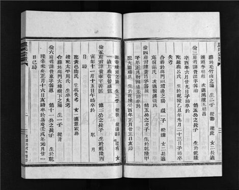 _[浙江樂清]重修盧氏宗譜（第八冊）__