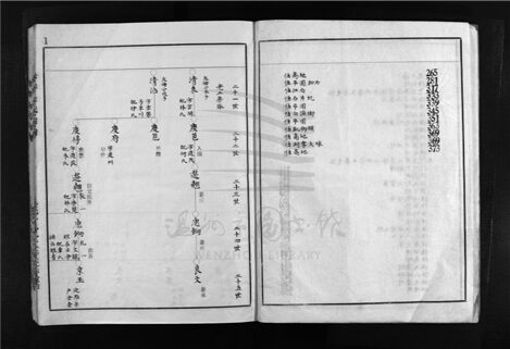 _[浙江樂清]重修松佯金氏宗譜（第二冊）__