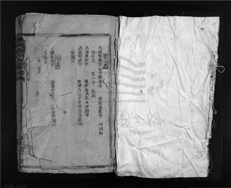 _[浙江樂清]重修小芙蓉何氏宗譜（第二冊）__