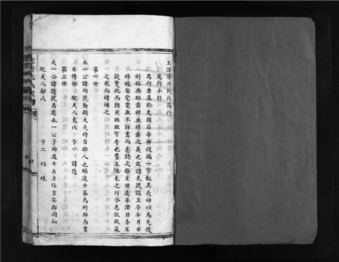 _[浙江樂清]重修宅前阮氏宗譜（第二冊）__
