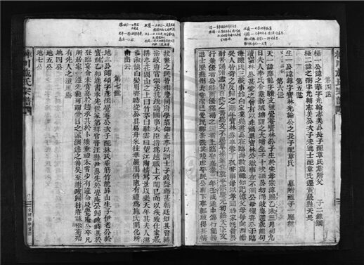 _[浙江樂清]重修樟川施氏宗譜（第三冊）__