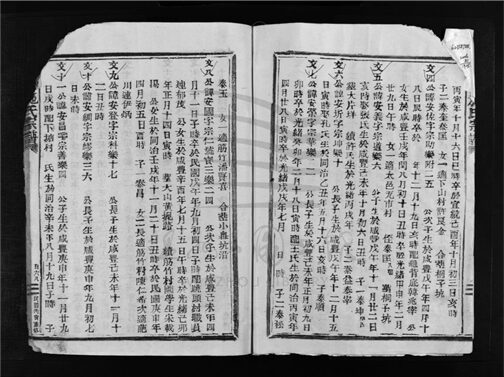 _[浙江樂清]重修樟川施氏宗譜（第三冊）__
