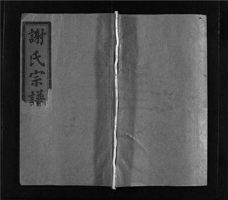 _[浙江樂清]重修陳留郡謝氏宗譜（第二冊）__