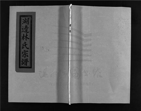 _[浙江樂清]重修濟南林氏宗譜（第九冊）__
